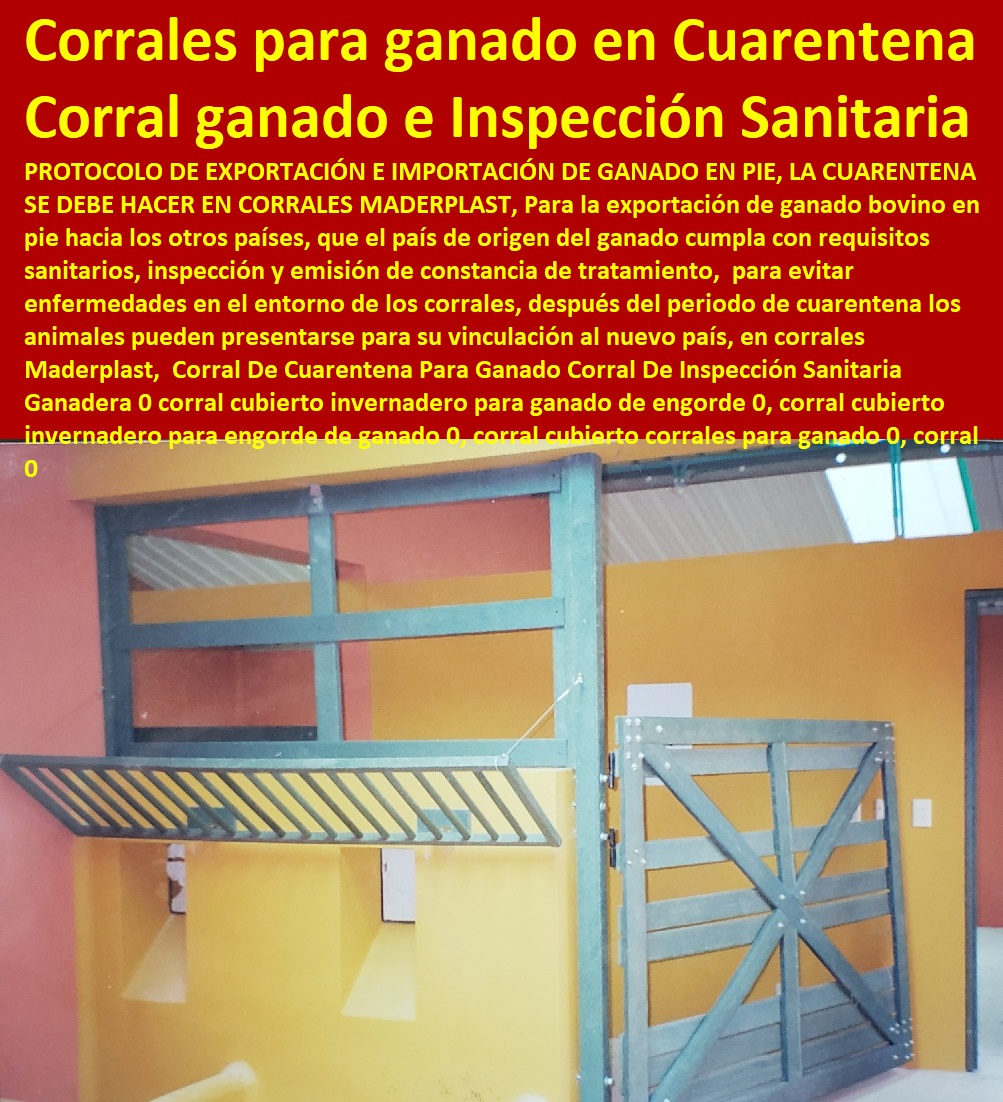 Corral De Cuarentena Para Ganado Corral De Inspección Sanitaria Ganadera 0 corral cubierto invernadero para ganado de engorde 0, corral cubierto invernadero para engorde de ganado 0, corral cubierto corrales para ganado 0, Mangas De Coleo, Corral Caballerizas, Pesebreras De Caballos, Plaza Toros, Brete Ganadero, Apretaderos Embarcaderos, Postes Tablas, Polines Varetas, Horcones Madera Plástica, Corrales, Establos De Ganado, corral 0 Corral De Cuarentena Para Ganado Corral De Inspección Sanitaria Ganadera 0 corral cubierto invernadero para ganado de engorde 0, corral cubierto invernadero para engorde de ganado 0, corral cubierto corrales para ganado 0, corral 0